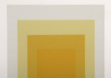 Homage to the Square - P2, F8, I2