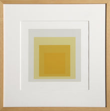 Homage to the Square - P2, F8, I2