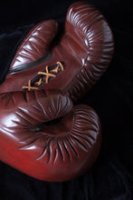 Bronze Boxing Gloves