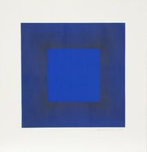 Midnight Suite (Blue with Black)