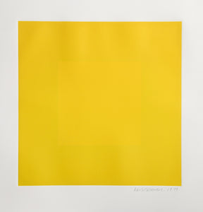 Spring Suite (Yellow with Yellow)