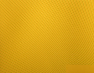 Spring Suite (Yellow with Yellow)