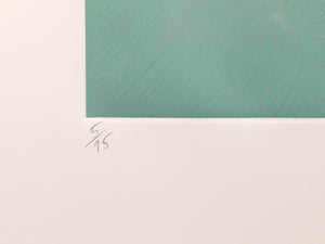 Winter Suite (Green with Silver)