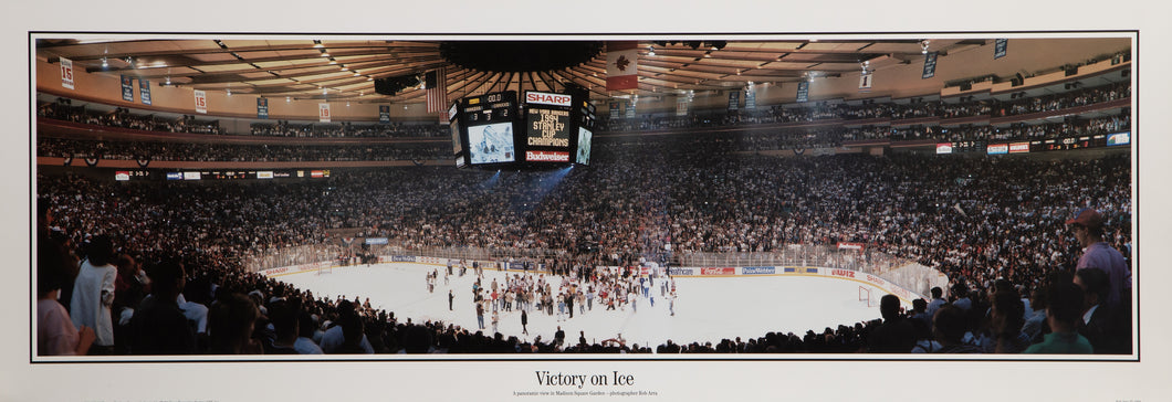 Victory On Ice