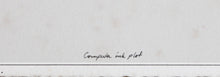 Computer Ink Plot