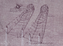 Patas de Rana