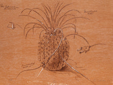 Pina
