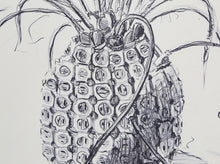 Pina II