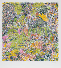 Ferns