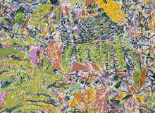 Ferns