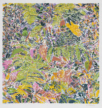 Ferns