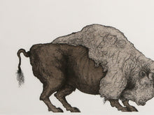 Self-Portrait (Bison and Hare)