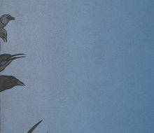 The Language of Birds
