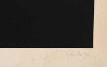 Plate IV