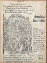 Diptych from First Edition of The Ship of Fools