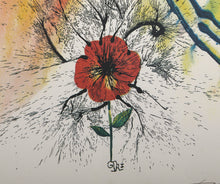 Alice's Evidence from the Alice in Wonderland Portfolio
