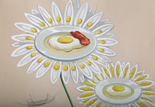Chrysanthemum Frutescens