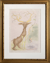 Le Cerf se voyant dans l'eau
