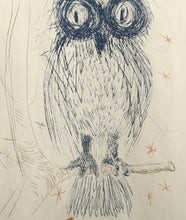 Owl