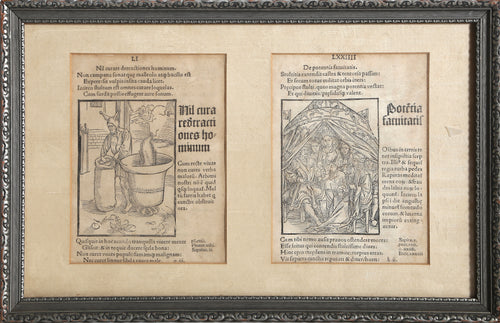 Diptych from First Edition of The Ship of Fools