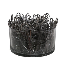Scissor Salad