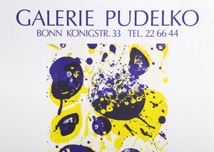 Galerie Pudeklo