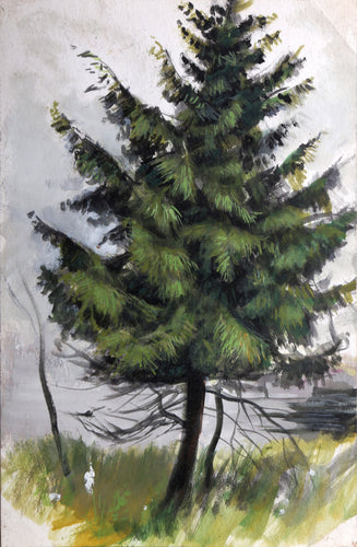 Tree in Fog