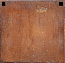 Armadura Terrestre II