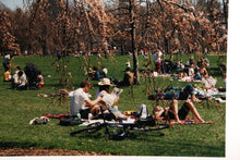 Central Park 7