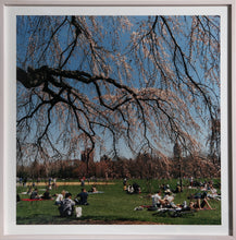 Central Park 7