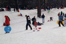 Central Park #19