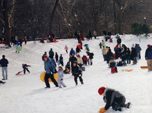 Central Park #19