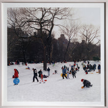 Central Park #19