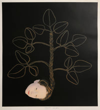 Seed