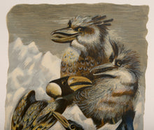 Pajaros Carniceros entre Chile y La Argentina