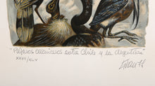 Pajaros Carniceros entre Chile y La Argentina