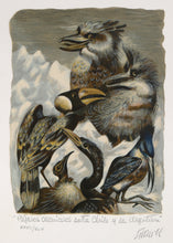 Pajaros Carniceros entre Chile y La Argentina