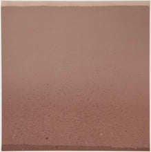 Red and Maroon Field