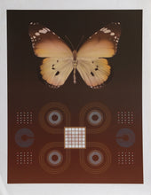 Butterfly Matrix II