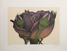 Roses #2