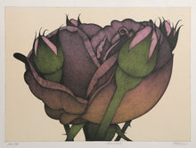 Roses #2