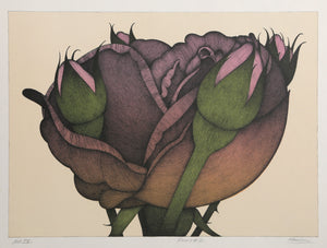Roses #2
