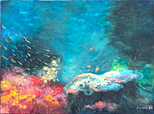 Reefs Of NY