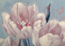 Pink Tulips