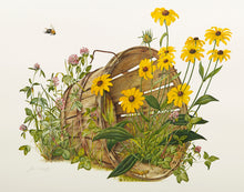 Black Eyed Susan and Clover