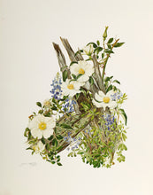Bluebonnet and Cherokee Rose