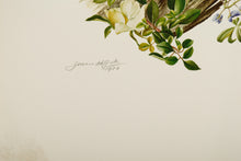Bluebonnet and Cherokee Rose