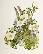 Bluebonnet and Cherokee Rose