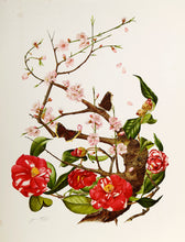 Camellia and Peach Blossom