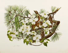 Dogwood and Pine Cone and Tassel